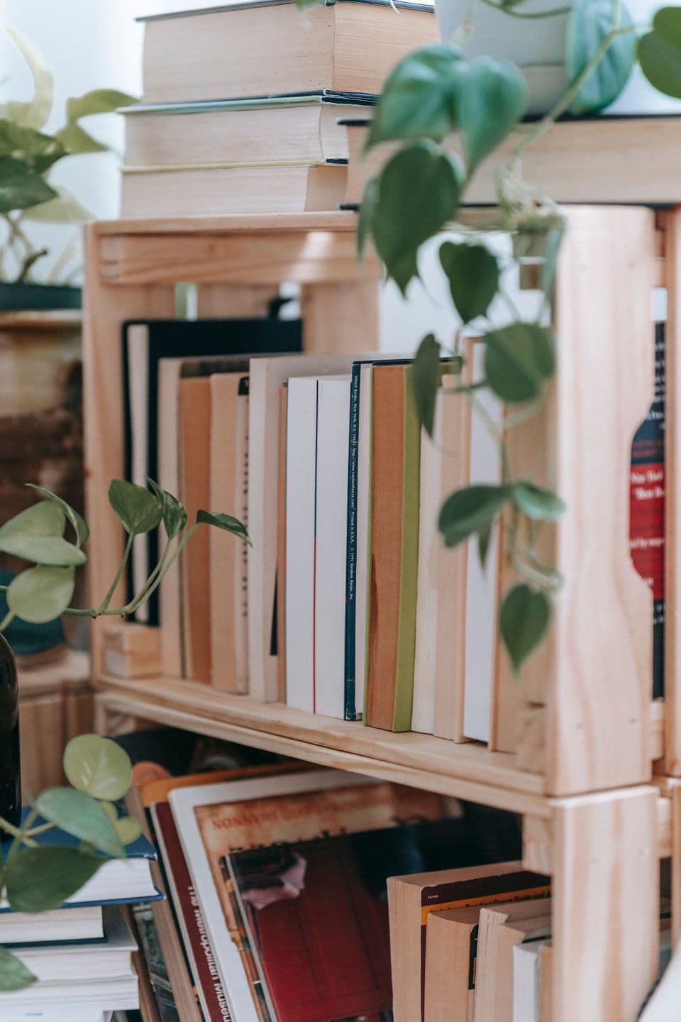 A home bookshelf with plants and well-loved books